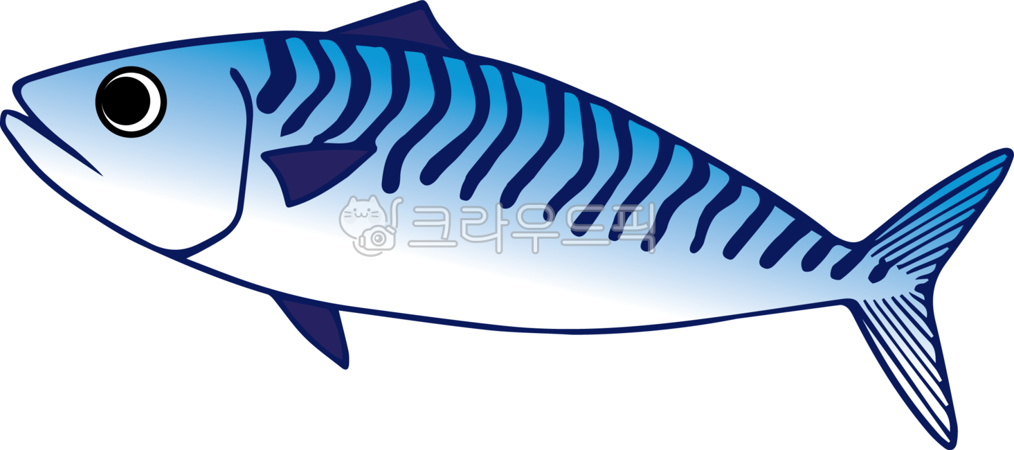 고등어,생선,반찬,해산물,물고기,바다,바다생물,자반고등어,fish,해양생물,동물