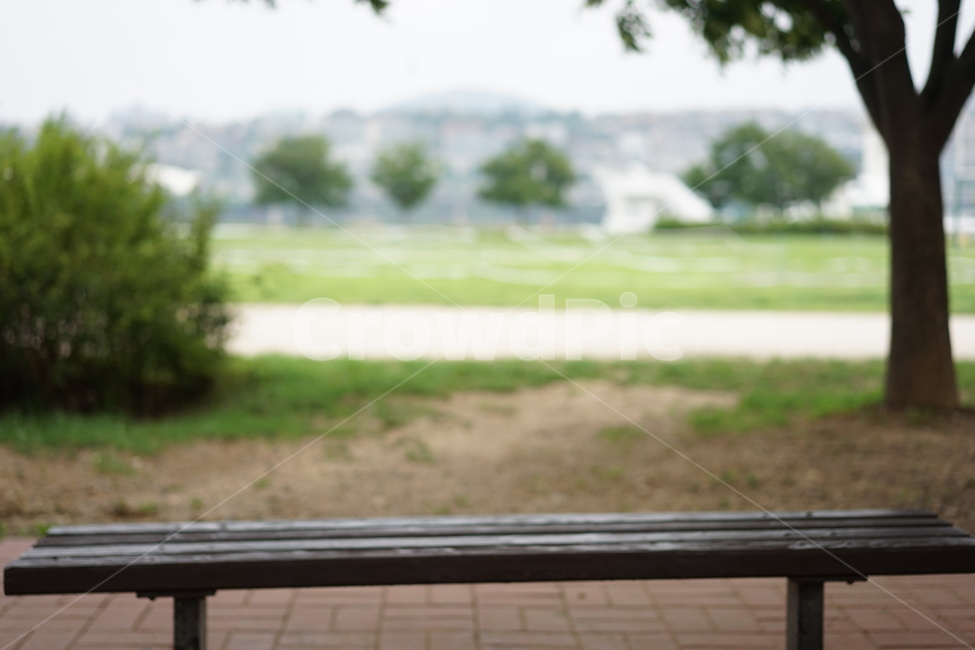 벤치,한강,공원,여름,빈의자,자연,풍경,nature,landscape,bench
