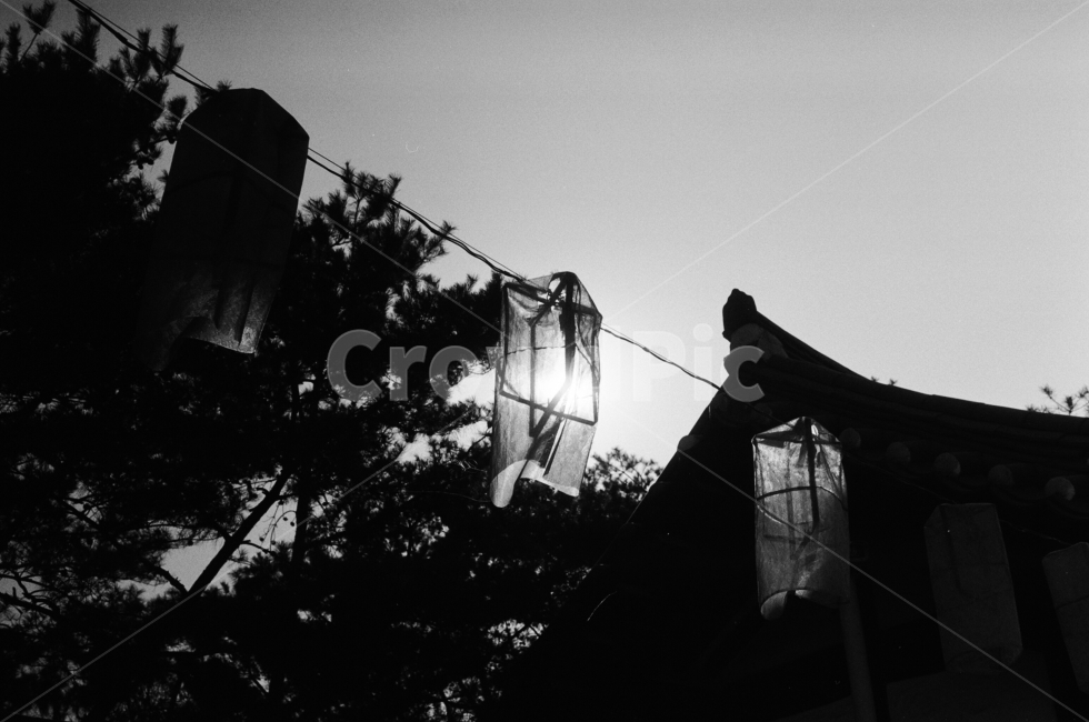 필름사진,흑백,흑백사진,청사초롱,역광,film,아날로그,남산한옥마을,필름,analog,blackandwhite,한국전통,한국문화,korean traditional,korean culture,흑백,모노톤,monochrome,black and white