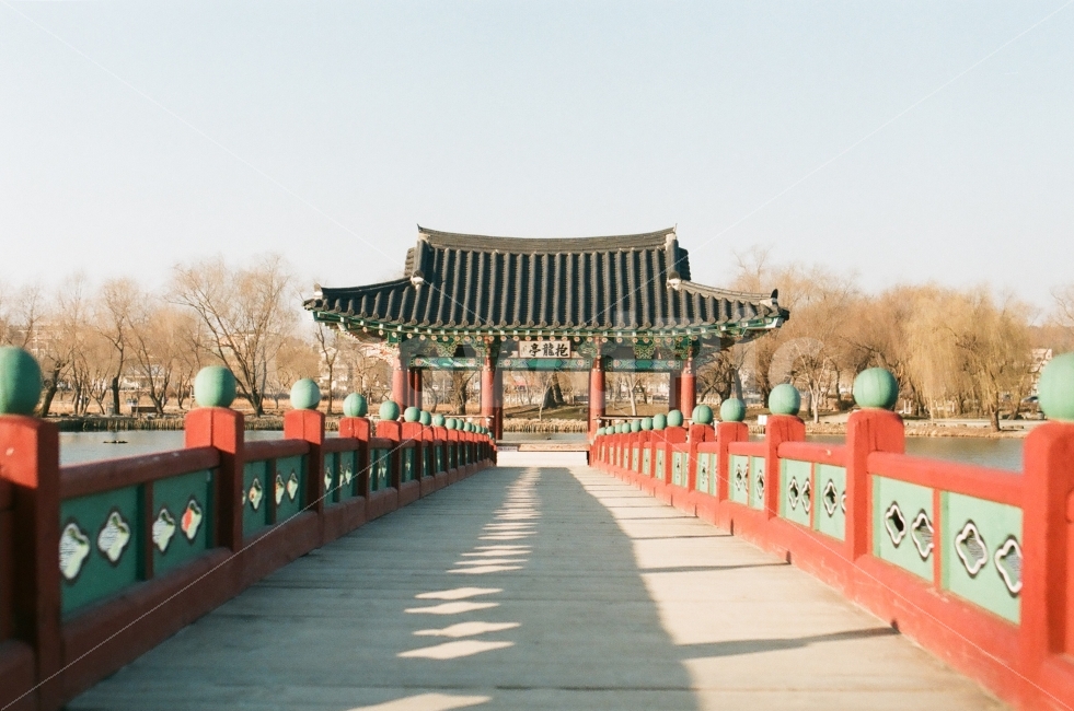 궁남지,부여궁남지,필름사진,필름카메라,다리,랜드마크,landmark,tourist attraction,한국전통,한국문화,korean traditional,korean culture,감성,sensible,feeling