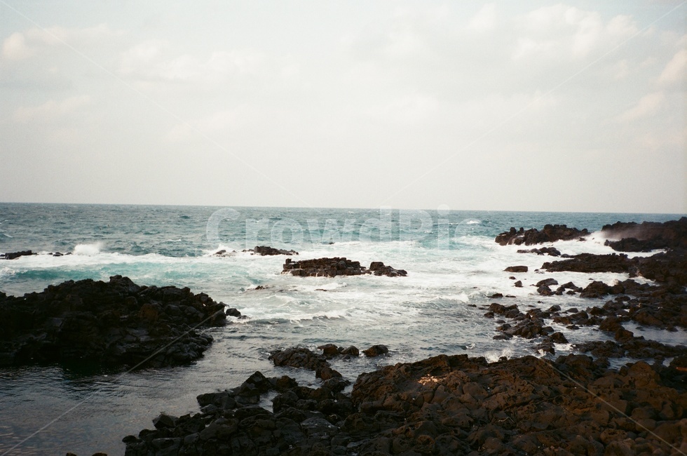 바다,해변,제주도,파도,하늘,자연