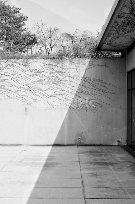 그림자,빛,건축물,대비,역광,건축,감성,sensible,feeling,흑백,모노톤,monochrome,black and white