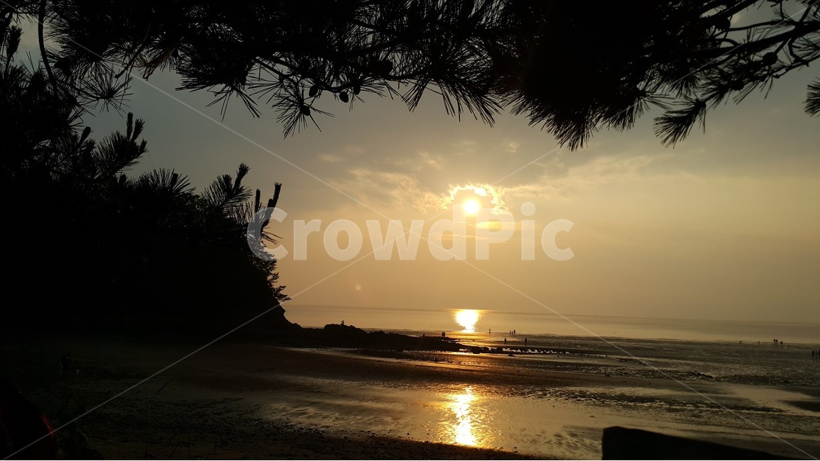 light,빛,flare,플레어,sunlight,햇빛,nature,자연