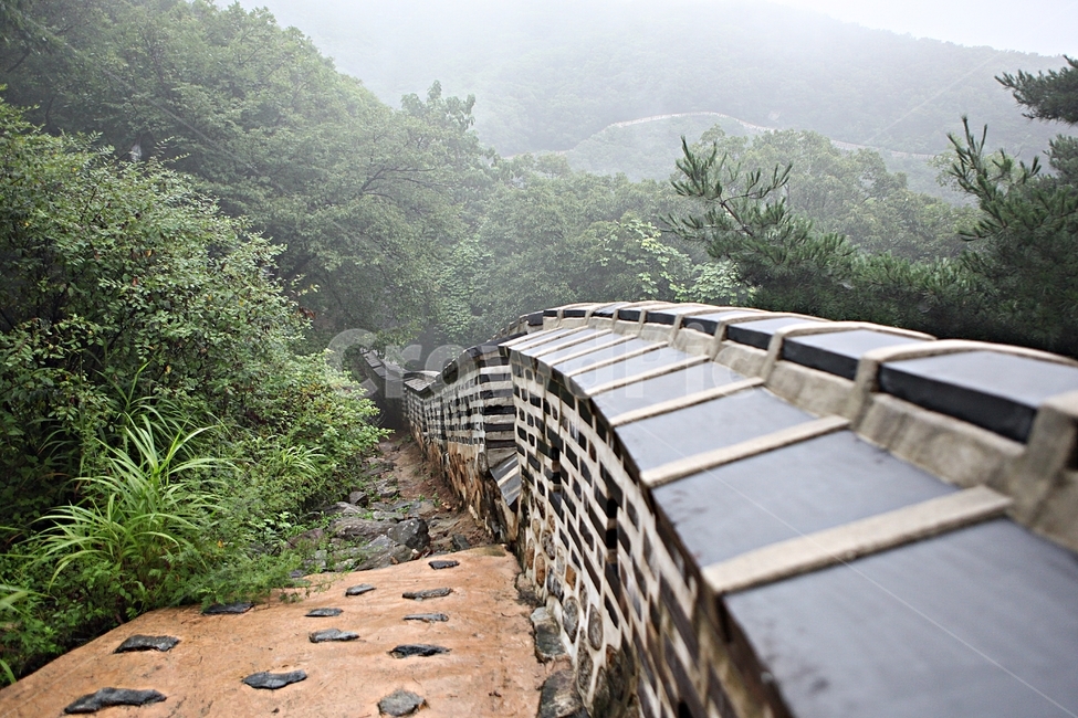 남한산성,성곽,돌담,둘레길,안개,숲길,숲,길,담