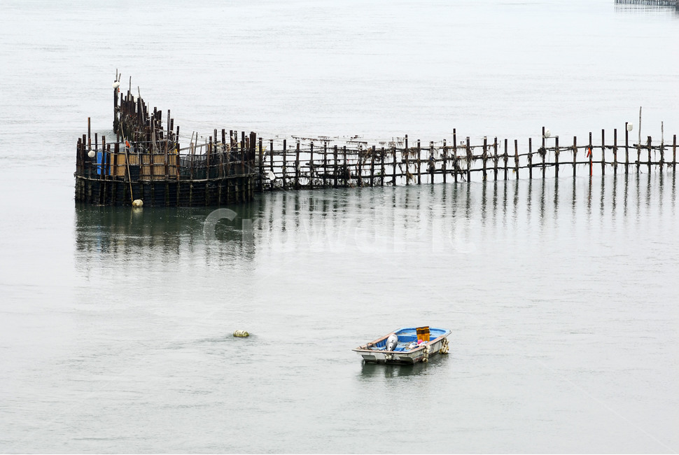 바다,어장,고기,배,물고기,어촌,어업,fishery,fishing industry