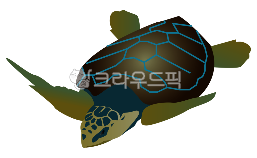 거북이,바다거북,디자인소스,디자인요소,일러스트,삽화,illust,png소스,png,png파일,turtle,동물,animal,sealife,해양생물,tortoise,남생이