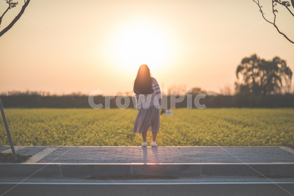 유채꽃,들판,꽃,노을,태양,일몰,인물,사람,풍경,여자,flower,sunset,sun,portrait,human,girl,landscape,노랑,yellow,자연,nature,field,사람,인물,인간,human,person,여성,여자,woman,female,lady,감성,sensible,feeling