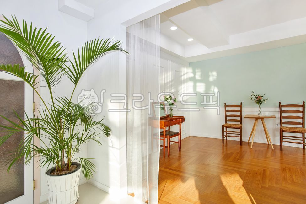 studio,door,flooring,interior space,couch,rentalstudio,construct,inside,interior,furniture,copy space,modern architecture,livingroom,living room,Rental Studio,indoors,wood,floor,modernarchitecture,hardwood,interior wall,room,one room,interior design,inter