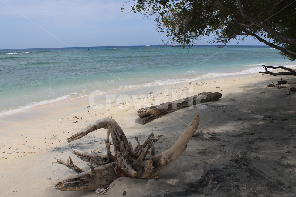 인도네시아,길리,해변,indonesia,gili,beach,나무해변,beachandtrees,고즈넉