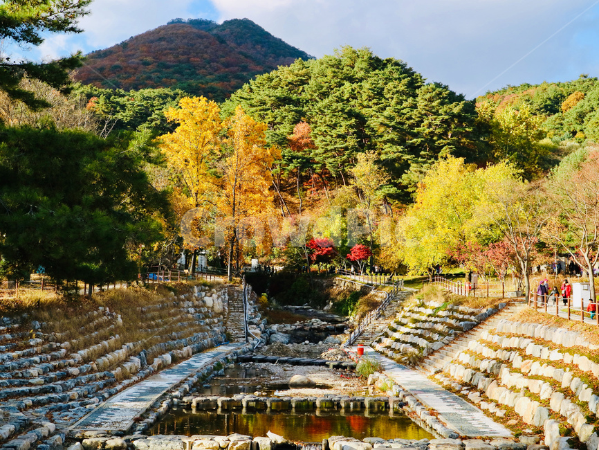 가을,양평,용문산,풍경,은행나무,단풍나무,개울,가을,계절,fall,autumn,season,자연,풍경,nature,landscape,outdoors,옥외