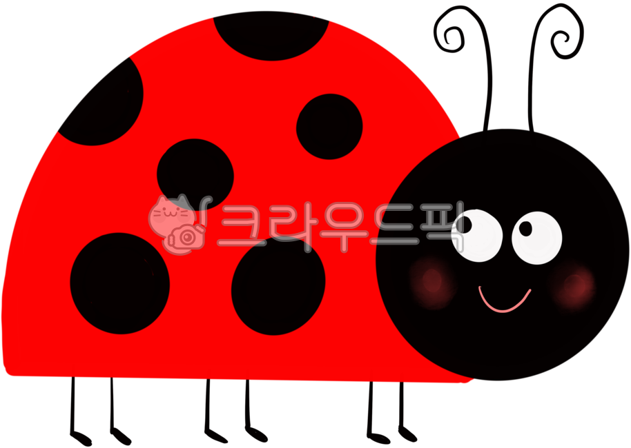 worm,seven star ladybug,ladybug,summer,ladybird,bug,insect,animal