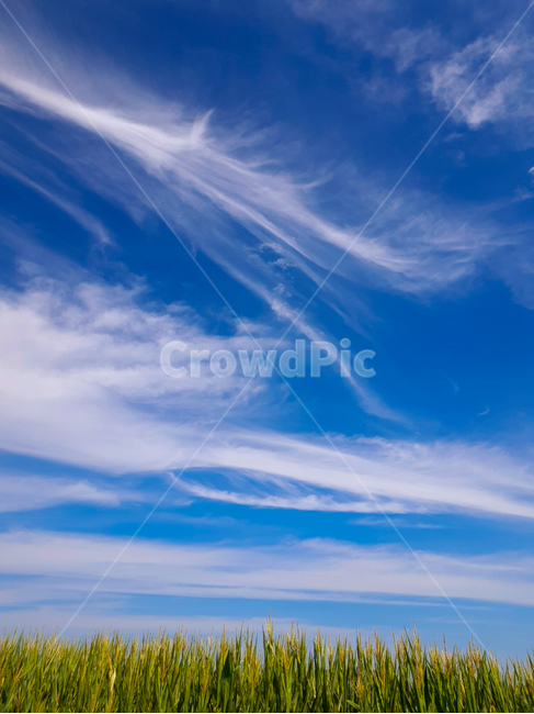 하늘,구름,풍경,자연,여름,자연,풍경,nature,landscape,outdoors,옥외,sky,azure sky,푸른 하늘