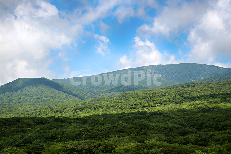 제주도,한라산,1100고지,한라산풍경,1100고지풍경,산,nature,자연,옥외,outdoors,자연,풍경,nature,landscape