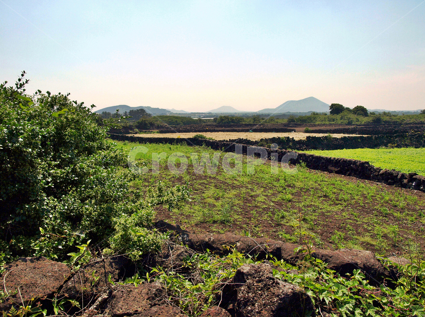 제주,올레1코스,올레,자연,푸른하늘,종달리,밭,수풀,제주도,jeju,jeju island,ground,바닥,nature,outdoors,옥외,land,땅