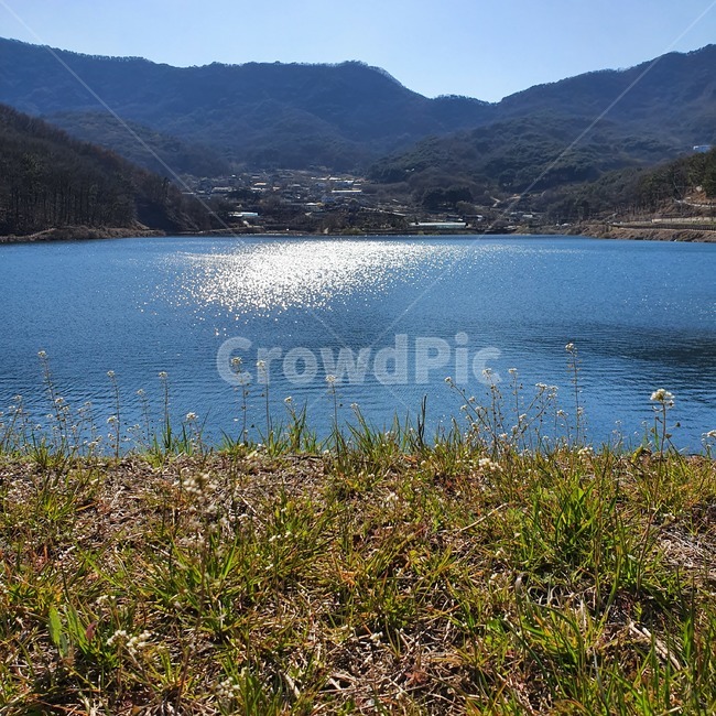 water,물,nature,자연,outdoors,옥외,호수,lake,풍경,경치,꽃,flower