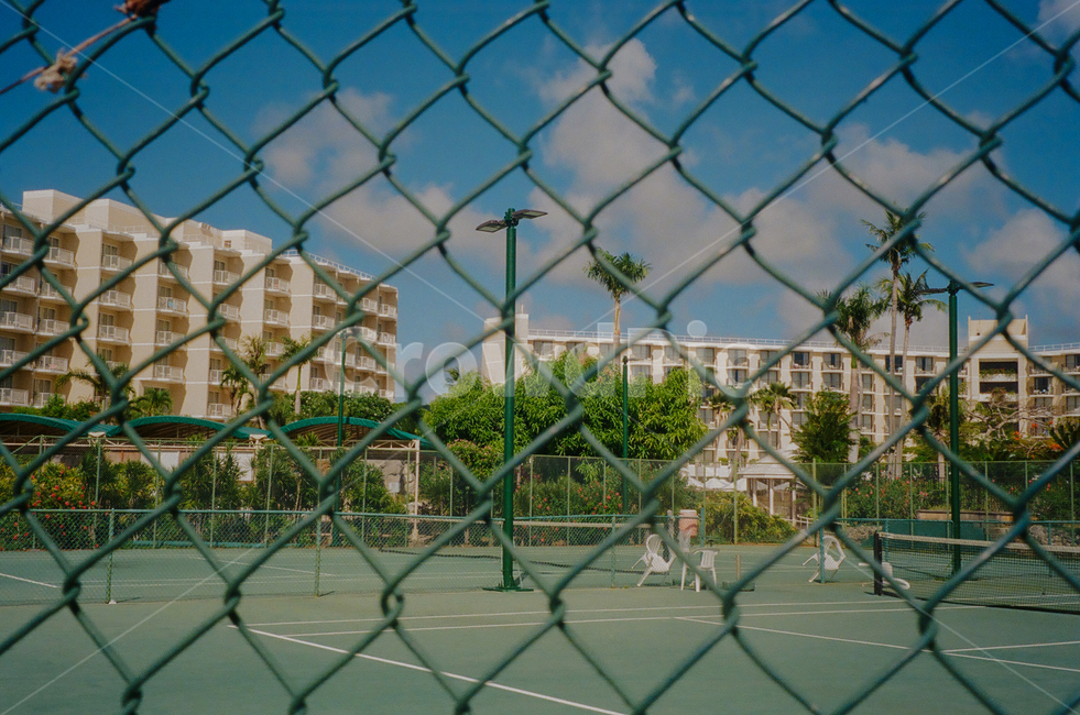 테니스,테니스코트,plant,식물,tree,사이판,saipan,필름카메라,sports