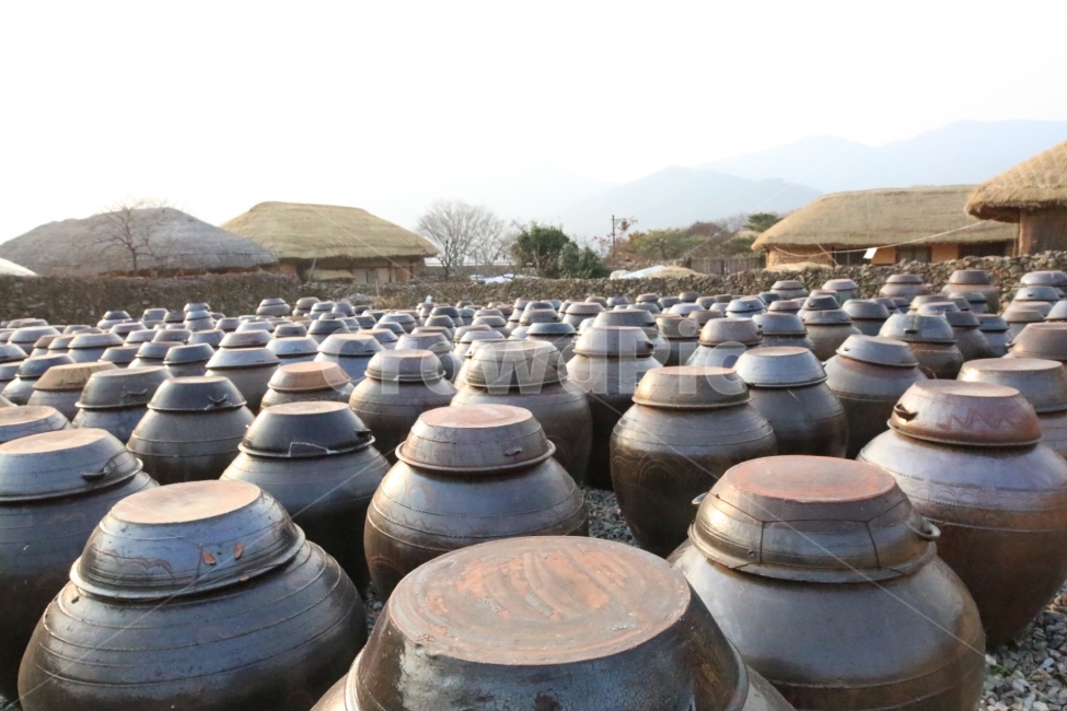 가을뒷뜰,항아리,초가집,풍경,뜨락,시골,마을,풍경,landscape,country,rural,town,한국전통,한국문화,korean traditional,korean culture