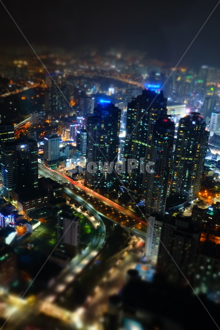 야경,건물,밤,부산,도심,서면,야경,밤,풍경,nightscape,night,landscape,도시,city,한국도시풍경,한국도시경관,korea cityscape,nature,자연,outdoors,옥외,경치,scenery,aerial view,조감도