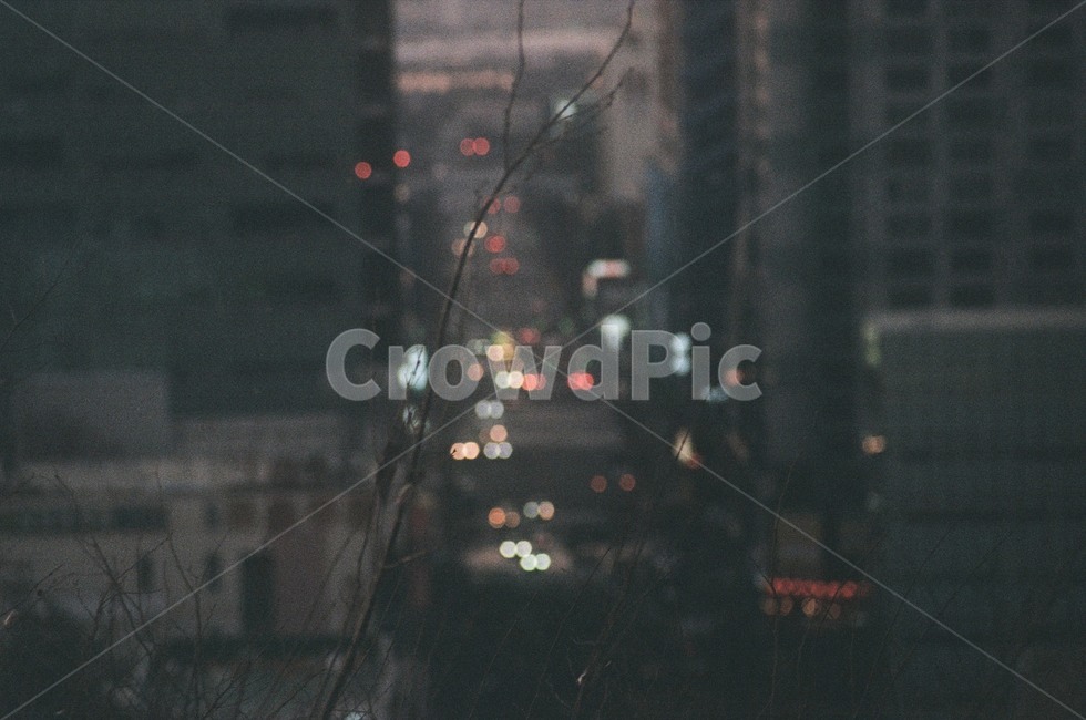 나뭇가지,앙상함,도시,도시풍경,한국풍경,야경,밤,풍경,nightscape,night,landscape,도시,city,감성,sensible,feeling