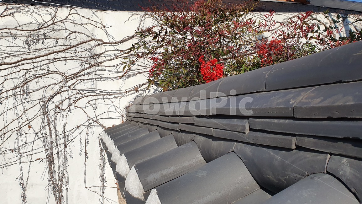 담,벽,담벼락,전통,한옥,기왓장,한옥마을,지붕,식물,banister,handrail,난간