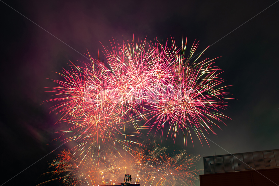 밤,야경,불꽃놀이,밤하늘,빛,야경,밤,풍경,nightscape,night,landscape,축제,행사,festival,carnival,event,색깔,색상,색채,색감,color sense,color sensitivity,feeling of color,nature,자연,outdoors,옥외
