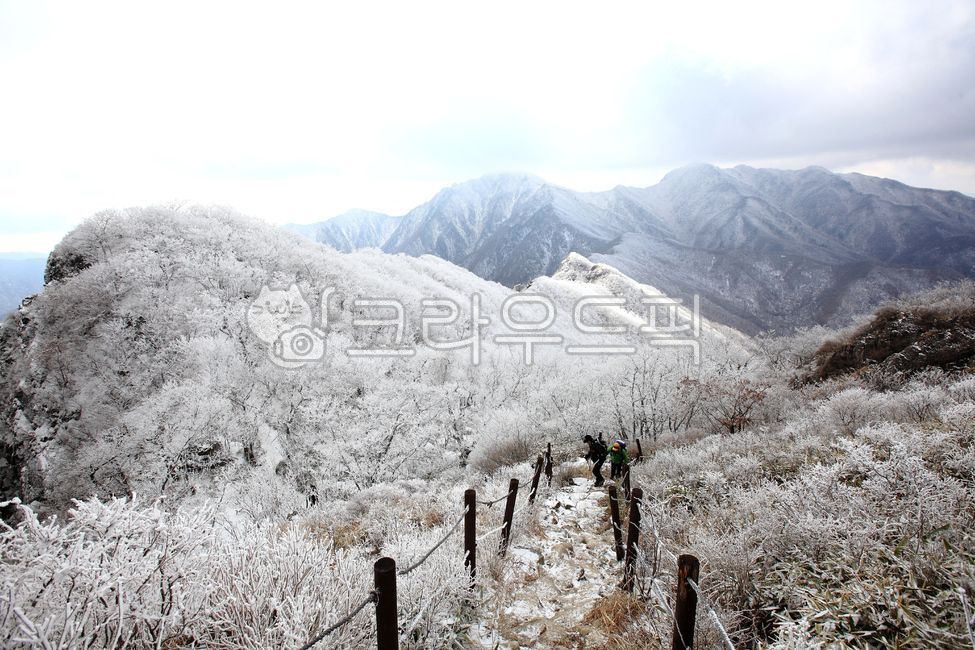 설경, snow, winter, outdoors, 옥외, 사진,이미지,일러스트,캘리그라피 - fresh air작가