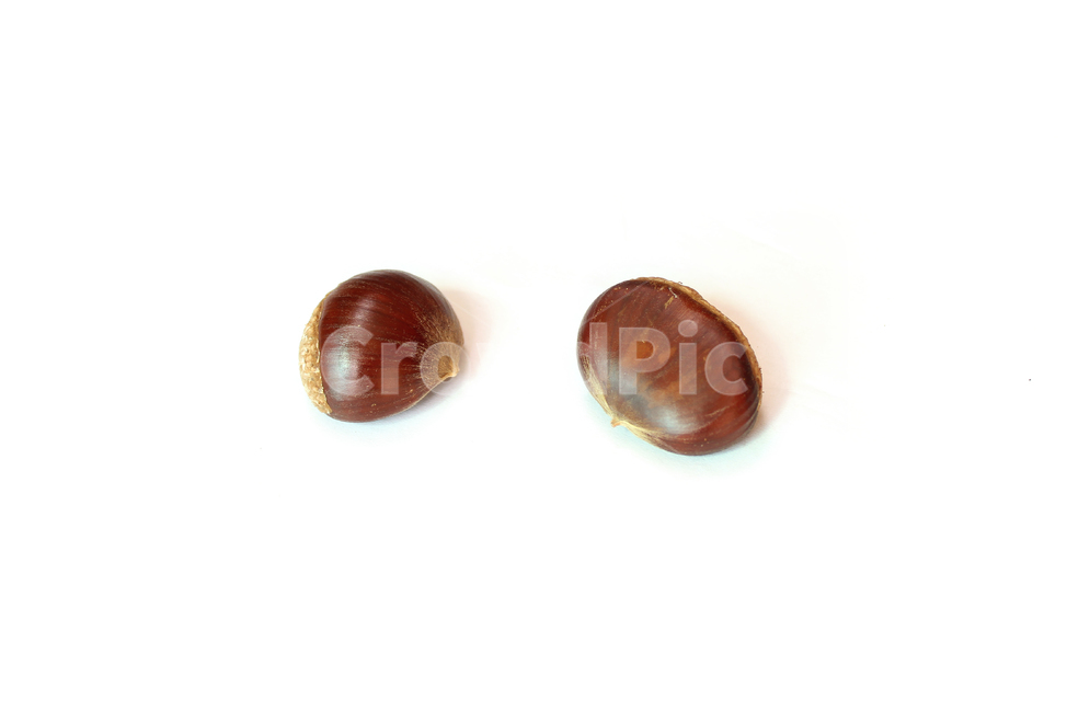 autumn,brown,chestnut,closeup,fall,food,macro,natural,nature,nut,plant,white,whitebackground,가을,밤,열매,클로즈업,음식,자연,흰배경,알밤,과일,열매,fruit
