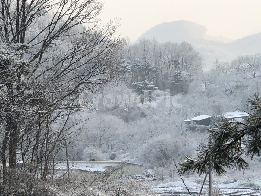 겨울,산,눈,나무,설경,겨울산야,겨울,계절,winter,season,자연,풍경,nature,landscape,outdoors,옥외,snow
