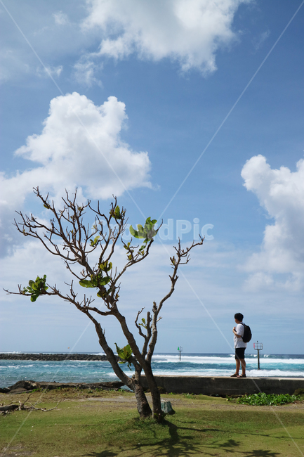 나무,혼자,나홀로,여행,바닷가,하늘,구름,sky,cloud,travel,alone,tree,남자,자연,풍경,nature,landscape,사람,인물,인간,human,person,남성,남자,man,male,outdoors,옥외,ocean,대양,sea,바다,water,물