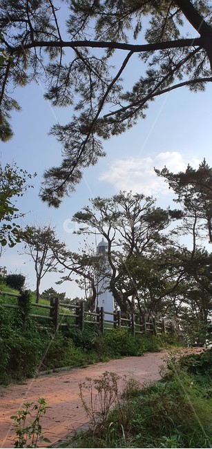 나무,식물,등대,구름,하늘,등대,lighthouse