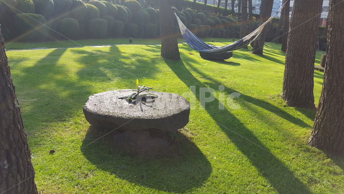 정원,맷돌의자,잔디,해먹,쉼터,뒷뜰,자연,풍경,nature,landscape,plant,식물,grass