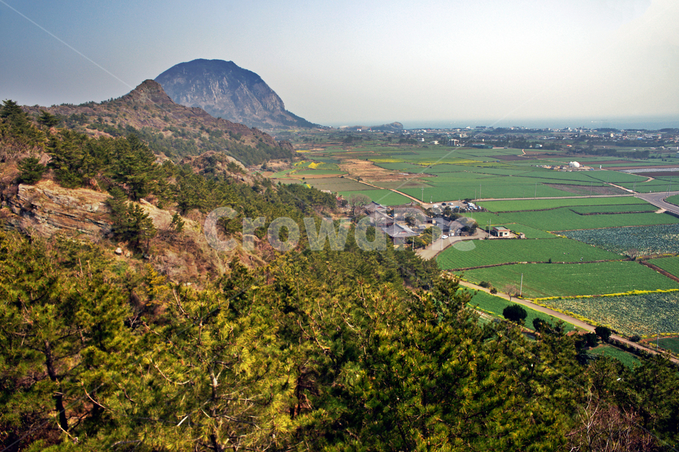 바굼지오름,단산,제주도,서귀포시,오름,바고미오름,산방산,밭,농사,자연,풍경,nature,landscape,한국자연풍경,한국자연경관,korea nature landscape,outdoors,옥외,경치,scenery