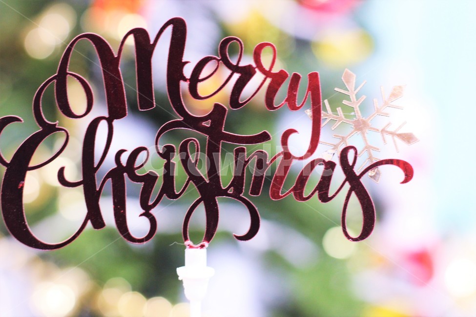 메리크리스마스,성탄절,빛,Merrychristmas,크리스마스,겨울,계절,winter,season,기념일,축하,anniversary,congratulation,celebrate,celebration,메리크리스마스,성탄절,merry christmas
