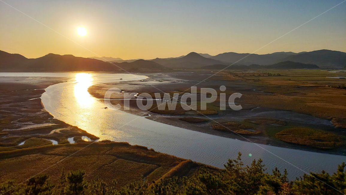 light,sunlight,sunset,순천만,korea,suncheonbay,golden,플레어,flare,scenery,픙경