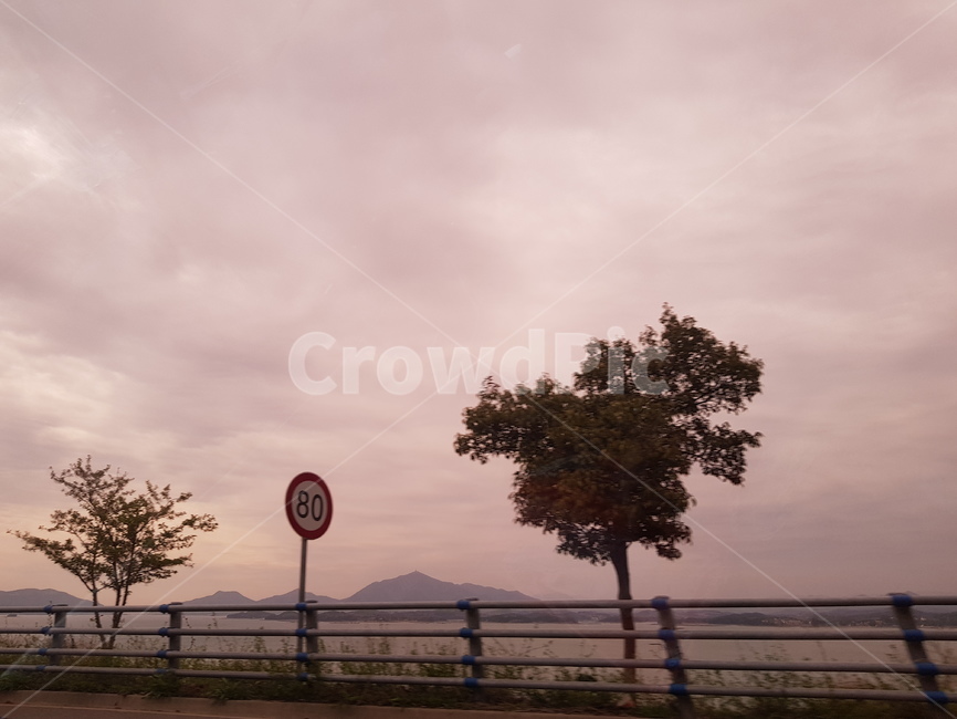 흐린하늘,길가,흑백,도로,나무,표지판,자연,풍경,nature,landscape