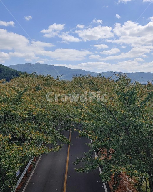 nature,자연,scenery,풍경,landscape,경치