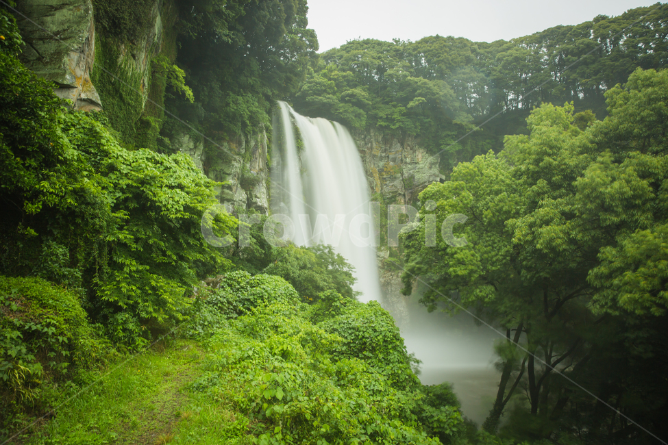 폭포,제주도,비,흐림,엉또폭포,자연,풍경,nature,landscape,river,강,outdoors,옥외,water,물,waterfall,vegetation,초목,plant,식물