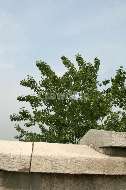 낙산공원,성곽,서울,도시,옛터,도성,건축,하늘,나무,한국전통,한국문화,korean traditional,korean culture,건축물,건물외관,exterior,building,structure,architecture,construction