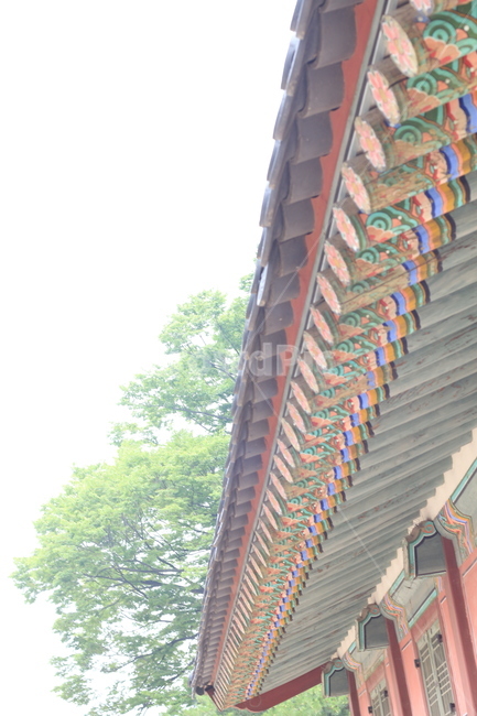 고궁,궁궐,전통건축,단청,한국의멋,한국전통,한국문화,korean traditional,korean culture,건축물,건물외관,exterior,building,structure,architecture,construction