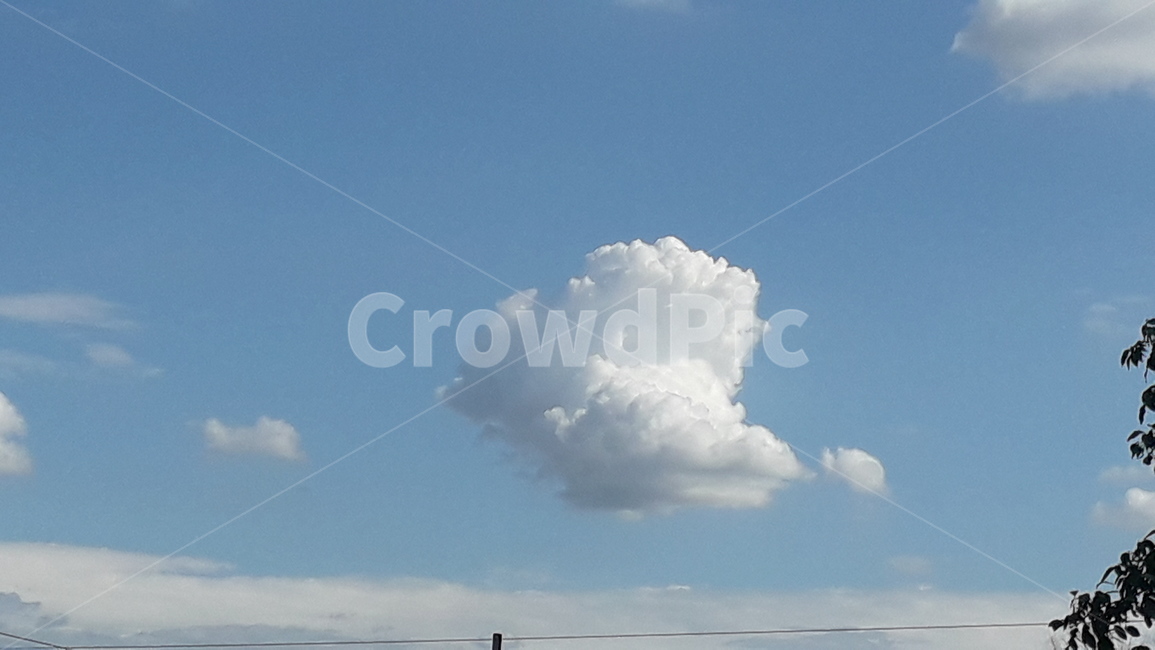 특이한,아름다운,구름,자연,하늘,sky,cloud,자연,풍경,nature,landscape,weather,날씨,outdoors,옥외,cumulus,적운