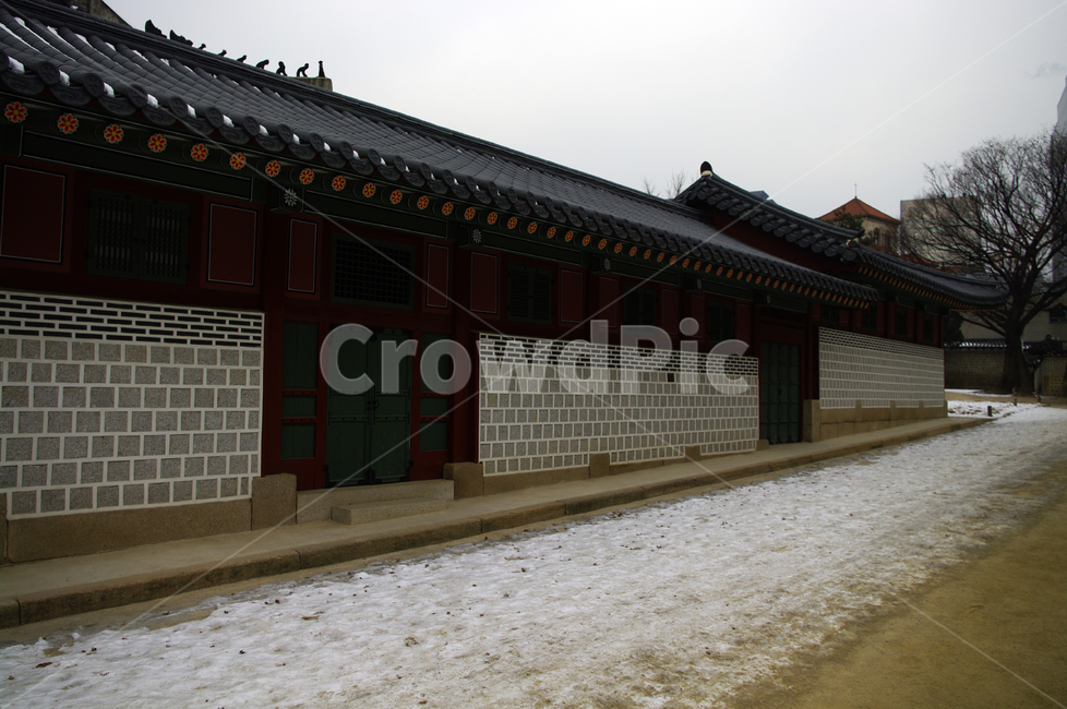 덕수궁,고궁,건축,전통건축,traditional,전통,기와지붕,겨울,winter,풍경,설경,눈,겨울,계절,winter,season,한국전통,한국문화,korean traditional,korean culture,랜드마크,landmark,tourist attraction,한국랜드마크,한국관광지,한국명소,korea landmark,korea tourist attraction