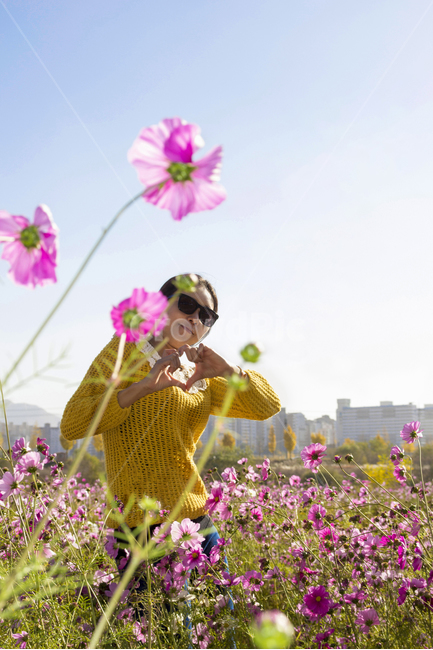 가을,여자,여인,꽃,코스모스,러브,하늘,선글라스,노랑,lady,women,감성사진,여행,힐링,공원,park,소녀,계절,season,사람,people,모델,flower,나무,은행나무,뒷모습,은행잎,풍경,도시,강,배경,단풍,선명한,화사한,fall,autumn,식물,자연,plants,nature,trees,wood,인물,인간,human,person,여성,woman,female,고독함,외로움,쓸쓸함,우울함,슬픔,lonely,solitarytreeplant,가을,계절,fall,autumn,season,사람,인물,인간,human,person,여성,여자,woman,female,lady,sunglasses,색안경,plant,식물
