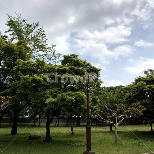 경주,대릉원,릉,언덕,풍경,한적,휴식,여유,힐링,산책