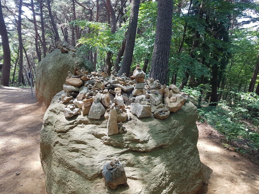 돌맹이,돌탑,pebble,ground,바닥,나무,tree,자연,nature,기도,소원,wish,prayer,pray,hope,작은,small