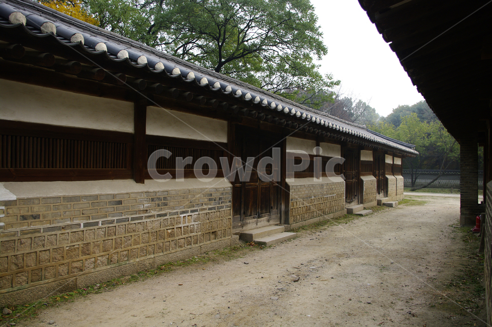 낙선재,건축,전통건축,traditional,전통,기와지붕,담장,문,한국전통,한국문화,korean traditional,korean culture,건축물,건물외관,exterior,building,structure,architecture,construction