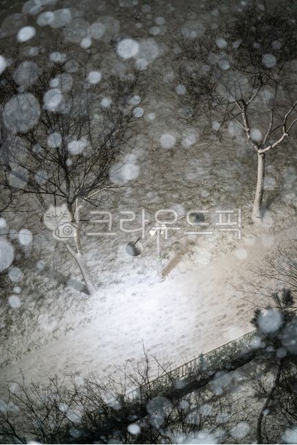 winter mood,snow scene,heavy snow,winter,cold,Street lamp,bright eyes,calamity,Natural Disasters,big eyes,Heavy snow warning,weather,sight,season,fire,snowflake,nature,blizzard,snowstorm,outdoor,outdoors,snow,winter landscape,icicle
