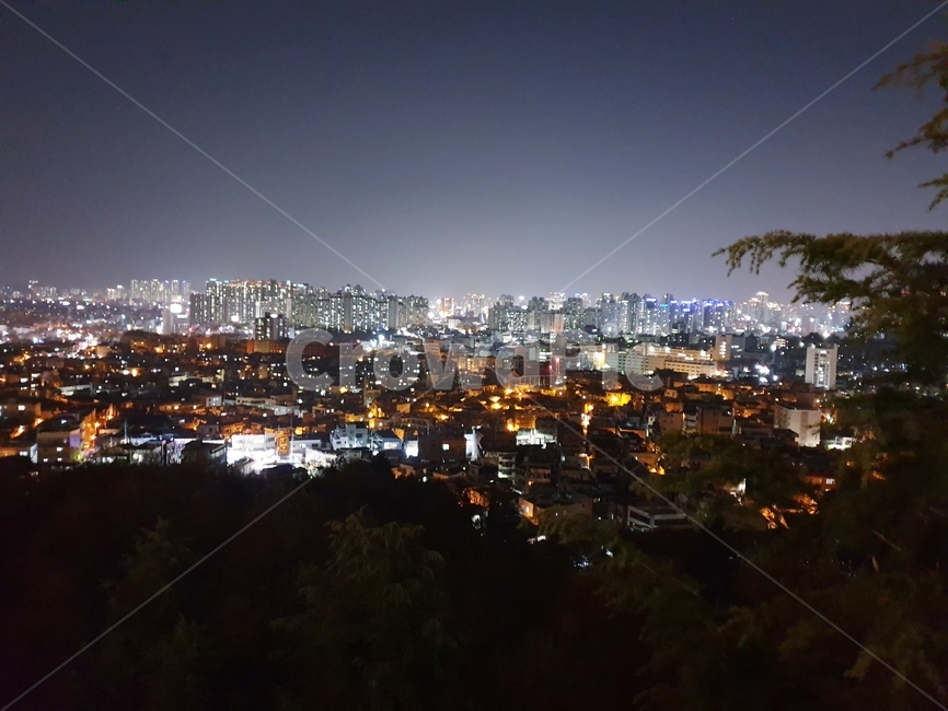 도시야경,대구,도시,밤,대구야경