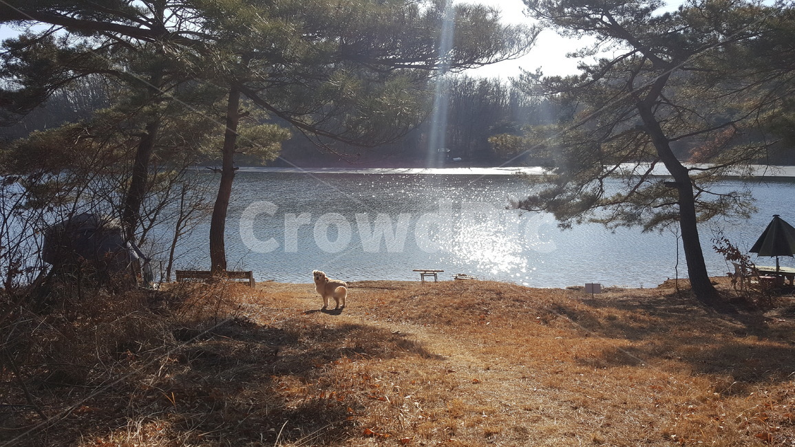 강아지,풍경,산,호수,자연,자연,풍경,nature,landscape,dirt road,흙길,road,도로,gravel,자갈,water,물