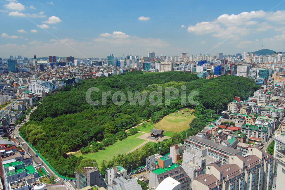 선릉,선정릉,강남,도시,도심,풍경,도시풍경,릉,왕릉,문화재,사적,유적,건물,빌딩,녹지,공원,숲,녹색,그린,산,환경,남산,하늘,구름,스카이라인,하이앵글,강남구,서울