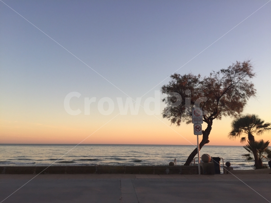 스페인,지로나,바다,노을,해질녘,여행,나무,풍경,자연,풍경,nature,landscape,해변,바다,beach,sea,해외,외국,세계,foreign,oversea,world,세계자연풍경,해외자연풍경,외국자연풍경,world nature landscape,tree,plant,식물